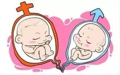液氮存储
